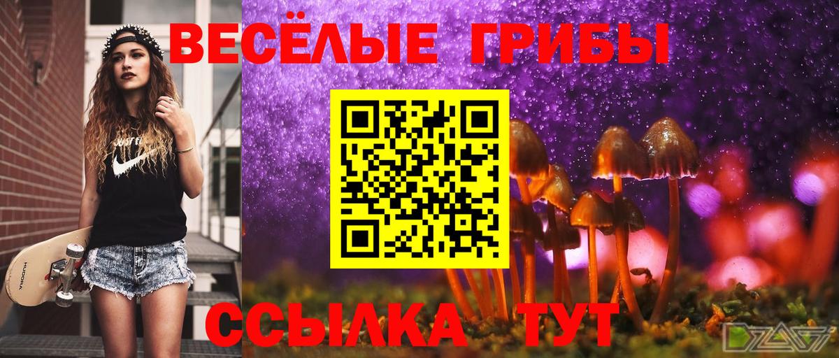 Псилоцибиновые грибы ЛСД Кольчугино