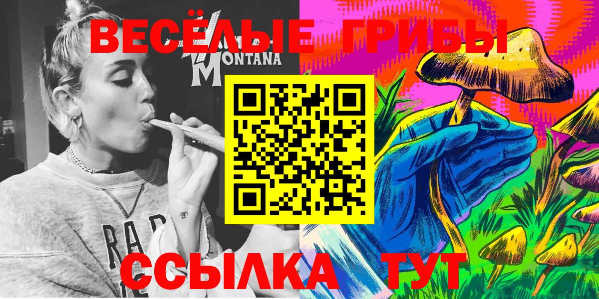 Галлюциногенные грибы Cubensis  Псилоцибиновые грибы мицелий  Вход с VPN  Кольчугино 